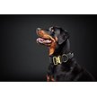 Show in main carousel: The Good Dog Tactical Dog Collar, Black, Large slide 2 of 2