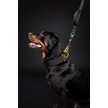 Show in main carousel: The Good Dog Tactical Dog & Cat Leash, 1.5-m, Black slide 2 of 2