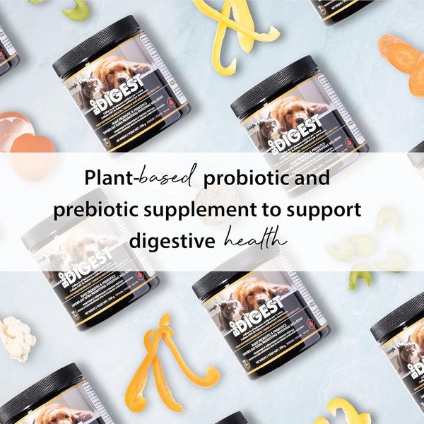 Show full view: Biologic Vet BIOVET BioDIGEST Plant Probiotic & Prebiotic Dog & Cat Supplement, 380-g jar slide 6 of 8