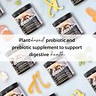Show in main carousel: Biologic Vet BIOVET BioDIGEST Plant Probiotic & Prebiotic Dog & Cat Supplement, 380-g jar slide 6 of 8