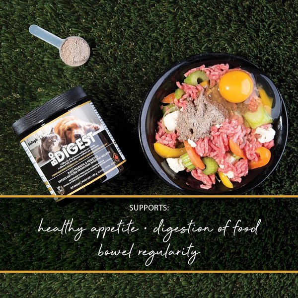 Show full view: Biologic Vet BIOVET BioDIGEST Plant Probiotic & Prebiotic Dog & Cat Supplement, 380-g jar slide 4 of 8