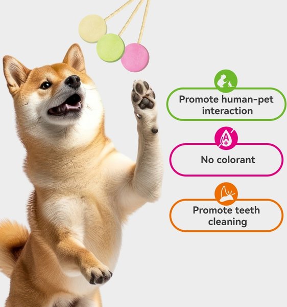 Show full view: Ranova Freeze-Dried Lollipop Variety Flavor Dog Treats, 6 count slide 4 of 4