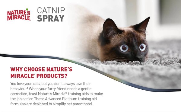 Show full view: Nature's Miracle JFC Advanced Platinum Catnip Cat Training Spray, 8-oz slide 5 of 9