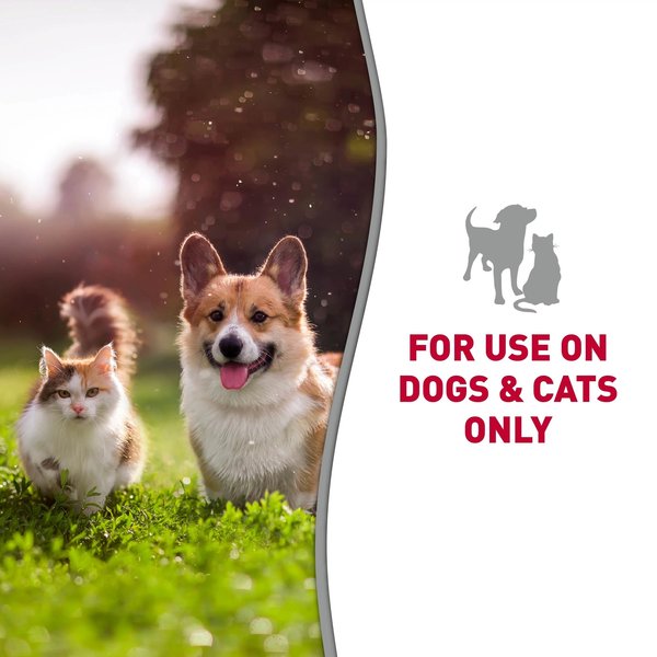 Show full view: Nature's Miracle Skunk Odor Control Citrus Scent Dog Shampoo & Conditioner, 32-oz slide 7 of 9