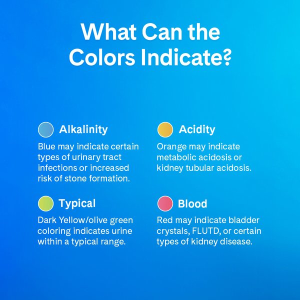 Show full view: PrettyLitter Health Monitoring Cat Litter, Unscented, 8-lb bag slide 8 of 10