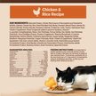 Show in main carousel: Wellness CORE Digestive Health Wholesome Grains Chicken & Rice Recipe Dry Cat Food, 5-kg bag slide 14 of 16