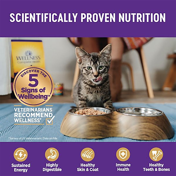 Show full view: Wellness Complete Health Turkey & Salmon Formula Grain-Free Natural Canned Cat Food, 354-g can, case of 12 slide 7 of 16
