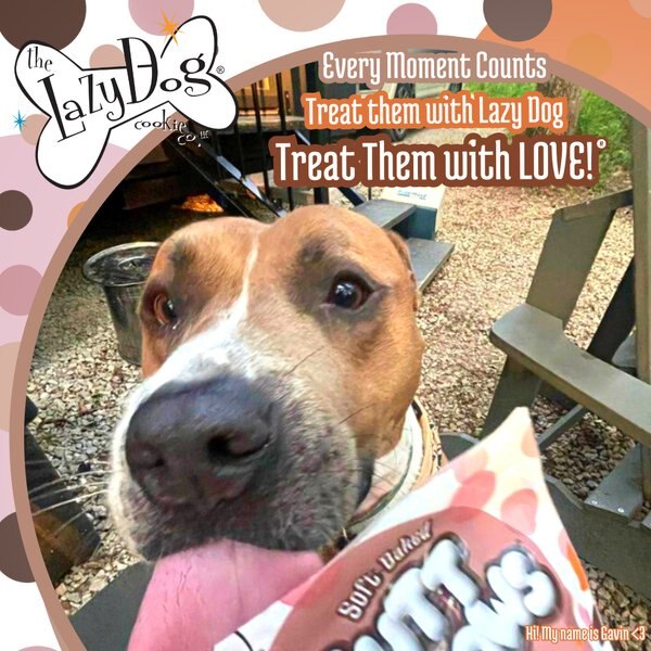 Show full view: The Lazy Dog Cookie Co. Mutt Mallows Sweetie S'mores Soft-Baked Dog Treats, 5-oz bag slide 4 of 5