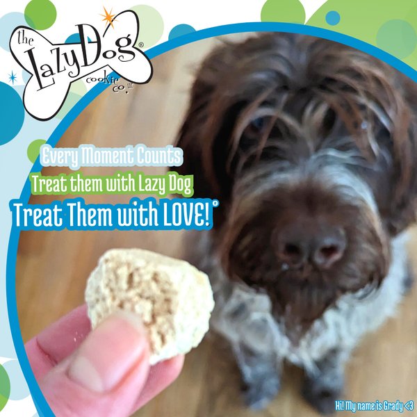 Show full view: The Lazy Dog Cookie Co. Mutt Mallows Original Roasted Vanilla Soft-Baked Dog Treats, 5-oz bag slide 4 of 5