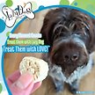 Show in main carousel: The Lazy Dog Cookie Co. Mutt Mallows Original Roasted Vanilla Soft-Baked Dog Treats, 5-oz bag slide 4 of 5