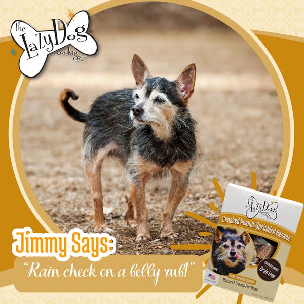 Show full view: The Lazy Dog Cookie Co. Grain-Free Crushed Peanut Sprinkled Banana Limited Ingredient Crunchy Baked Dog Treats, 14-oz box slide 7 of 8