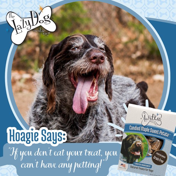 Show full view: The Lazy Dog Cookie Co. Grain-Free Candied Maple Sweet Potato Limited Ingredient Crunchy Baked Dog Treats, 14-oz box slide 7 of 8