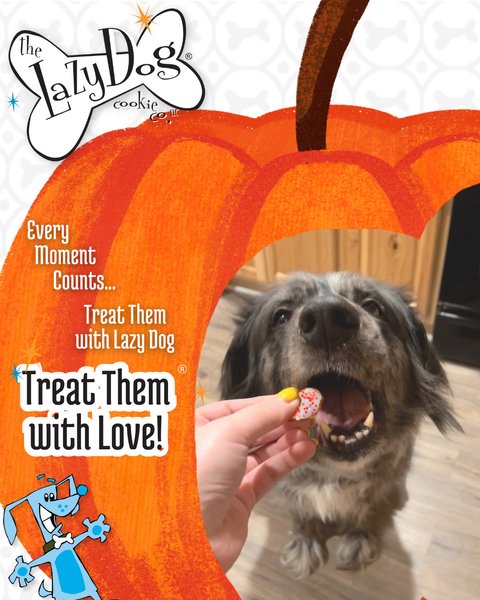 Show full view: The Lazy Dog Cookie Co. The Original Pup-PIE HomeStyle Pumpkin Dog Treat slide 5 of 5