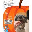 Show in main carousel: The Lazy Dog Cookie Co. The Original Pup-PIE HomeStyle Pumpkin Dog Treat slide 5 of 5