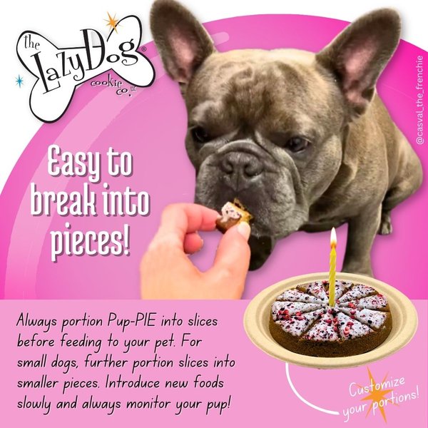 Show full view: The Lazy Dog Cookie Co. Happy Birthday Pup-PIE Dog Treat, Girl slide 3 of 8
