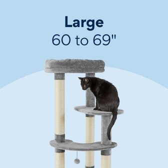 Large (60 to 69 inches)