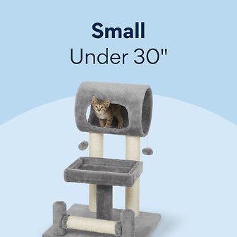 Small (30 inches and below)