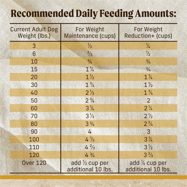 Show full view: Merrick Healthy Grains Real Chicken & Brown Rice Dry Dog Food, 5.44-kg bag slide 14 of 15
