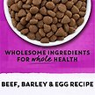 Show in main carousel: Purina Beyond Simply Farm-Raised Beef, Barley & Free Run Egg Dry Dog Food, 9.5-kg bag slide 14 of 16