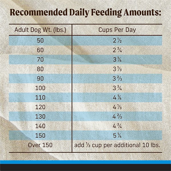 Show full view: Merrick Backcountry Raw Infused Grain-Free Large Breed Recipe Freeze-Dried Dog Food, 9.07-kg bag slide 15 of 17