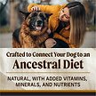Show in main carousel: Merrick Backcountry Raw Infused Grain-Free Big Game Recipe Freeze-Dried Dog Food, 1.81-kg bag slide 8 of 17
