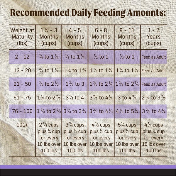Show full view: Merrick Backcountry Raw Infused Grain-Free Puppy Recipe Freeze-Dried Dog Food, 4.54-kg bag slide 15 of 17