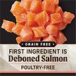 Show in main carousel: Merrick Backcountry Raw Infused Grain-Free Chicken-Free Pacific Catch Recipe Dry Dog Food, 9.07-kg bag slide 10 of 16