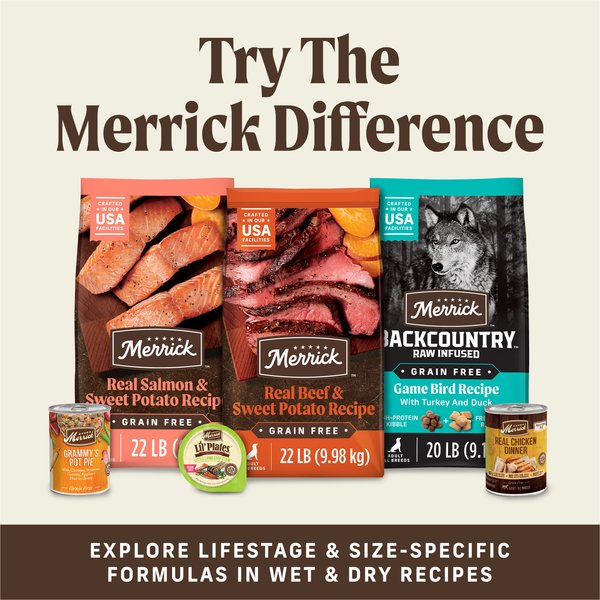 Show full view: Merrick Power Bites Real Salmon Recipe Grain-Free Soft & Chewy Dog Treats, 170-g bag slide 12 of 18