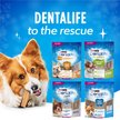 Show in main carousel: DentaLife Small/Medium Breed Daily Oral Care Dog Treats, 40 count slide 12 of 19