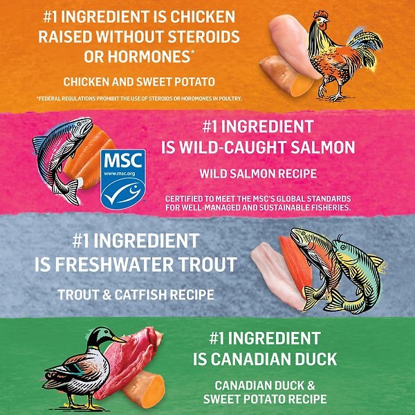 Show full view: Purina Beyond Pate Variety Pack Wild-Caught Salmon, Chicken, Trout & Catfish Wet Cat Food, 85-g can, case of 24 slide 6 of 12