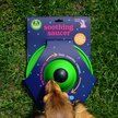 Show in main carousel: Stashios Soothing Saucer Standalone Calming Dog Toy slide 6 of 8