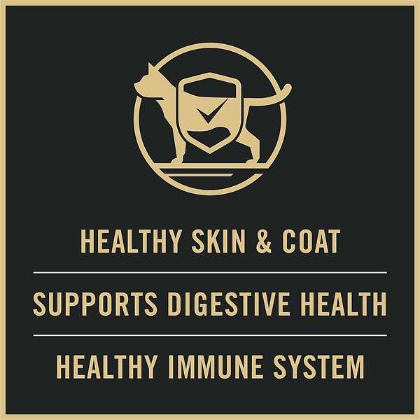 Show full view: Purina Pro Plan Sensitive Skin & Stomach Salmon & Rice Dry Kitten Food, 3.18-kg bag slide 4 of 9