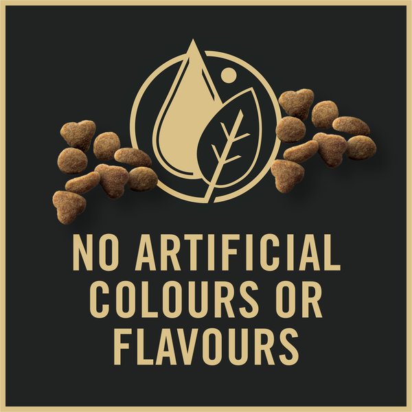 Show full view: Purina Pro Plan Complete Essentials Chicken & Rice Dry Kitten Food, 3.18-kg bag slide 7 of 9