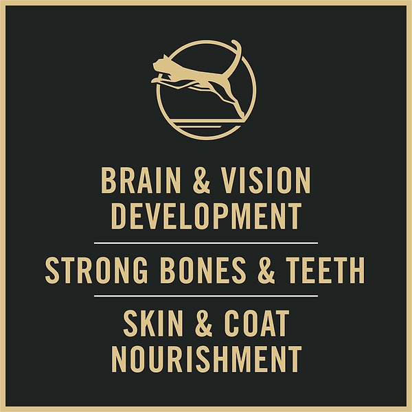 Show full view: Purina Pro Plan Complete Essentials Chicken & Rice Dry Kitten Food, 3.18-kg bag slide 5 of 9