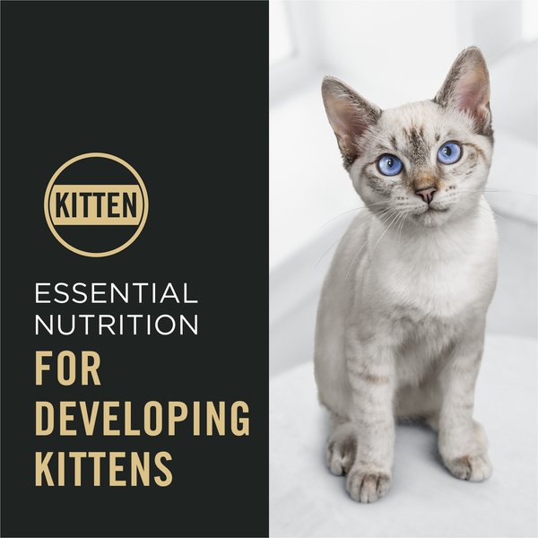 Show full view: Purina Pro Plan Complete Essentials Chicken & Rice Dry Kitten Food, 3.18-kg bag slide 4 of 9