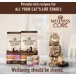 Show in main carousel: Wellness CORE Grain-Free Original Formula Natural Dry Cat Food, 5-kg bag slide 15 of 16