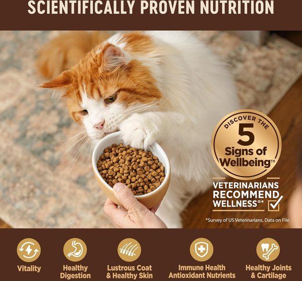 Show full view: Wellness CORE Grain-Free Original Formula Natural Dry Cat Food, 5-kg bag slide 7 of 16