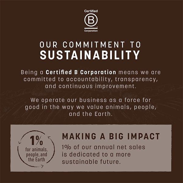 Show full view: Earth Animal No-Hide Strips Thin Natural Rawhide Alternative Salmon Recipe Chew Dog Treats, 10 count slide 9 of 9