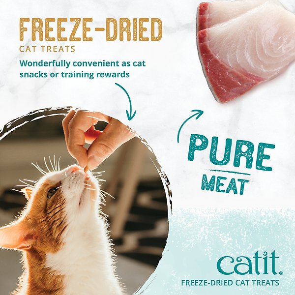 Show full view: Catit Raw Freeze-Dried Ocean Whitefish Cat Treats, 28.4-g bag slide 6 of 8