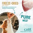 Show in main carousel: Catit Raw Freeze-Dried Ocean Whitefish Cat Treats, 28.4-g bag slide 6 of 8