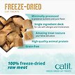 Show in main carousel: Catit Raw Freeze-Dried Ocean Whitefish Cat Treats, 28.4-g bag slide 5 of 8