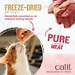 Show in main carousel: Catit Raw Freeze-Dried Beef, Pork, & Lamb Liver Cat Treats, 28.4-g bag slide 6 of 7