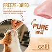 Show in main carousel: Catit Raw Freeze-Dried Chicken Cat Treats, 28.4-g bag slide 6 of 8