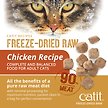 Show in main carousel: Catit Recipes Raw Chicken Freeze-Dried Cat Food, 100-g bag slide 4 of 9