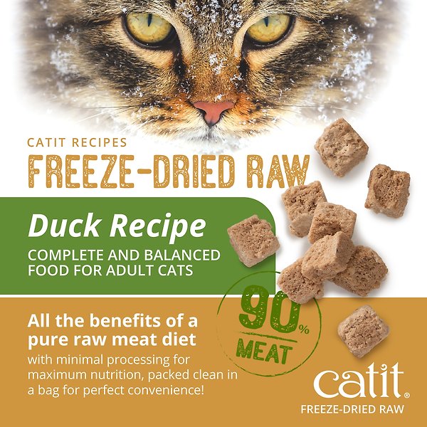Show full view: Catit Recipes Raw Duck Freeze-Dried Cat Food, 100-g bag slide 6 of 9