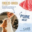 Show in main carousel: Catit Raw Freeze-Dried Tuna Cat Treats, 28.4-g bag slide 6 of 8