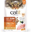 Show in main carousel: Catit Recipes Raw Chicken Freeze-Dried Cat Food, 100-g bag slide 1 of 9