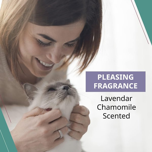 Show full view: Wahl Lavender Cat Grooming Wipes, 50 count slide 5 of 9