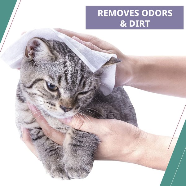 Show full view: Wahl Lavender Cat Grooming Wipes, 50 count slide 6 of 9