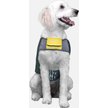 Show in main carousel: Goo-eez Dog Life Vest, Lemon/Grey, Small slide 6 of 6